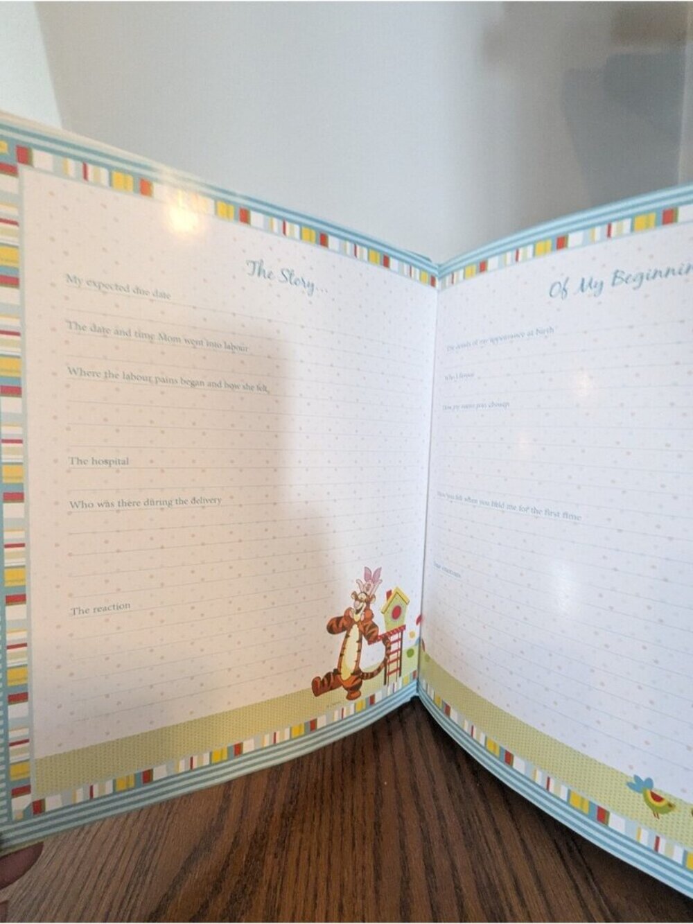 Winnie-the-Pooh Baby Book - My Sweetest Moments A Record Book Of The Early Years - Picture 5 of 5